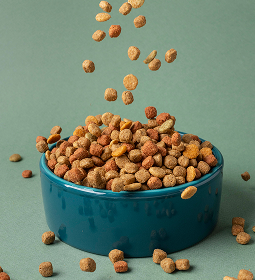 “Club 4 Paws” dog food...